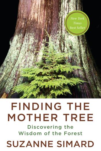 A cover image of the book Finding the Mother Tree by Suzanne Simard